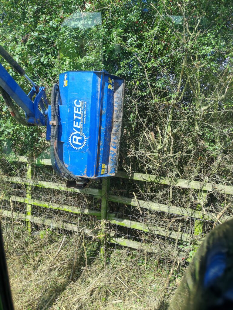 Hedge Cutting