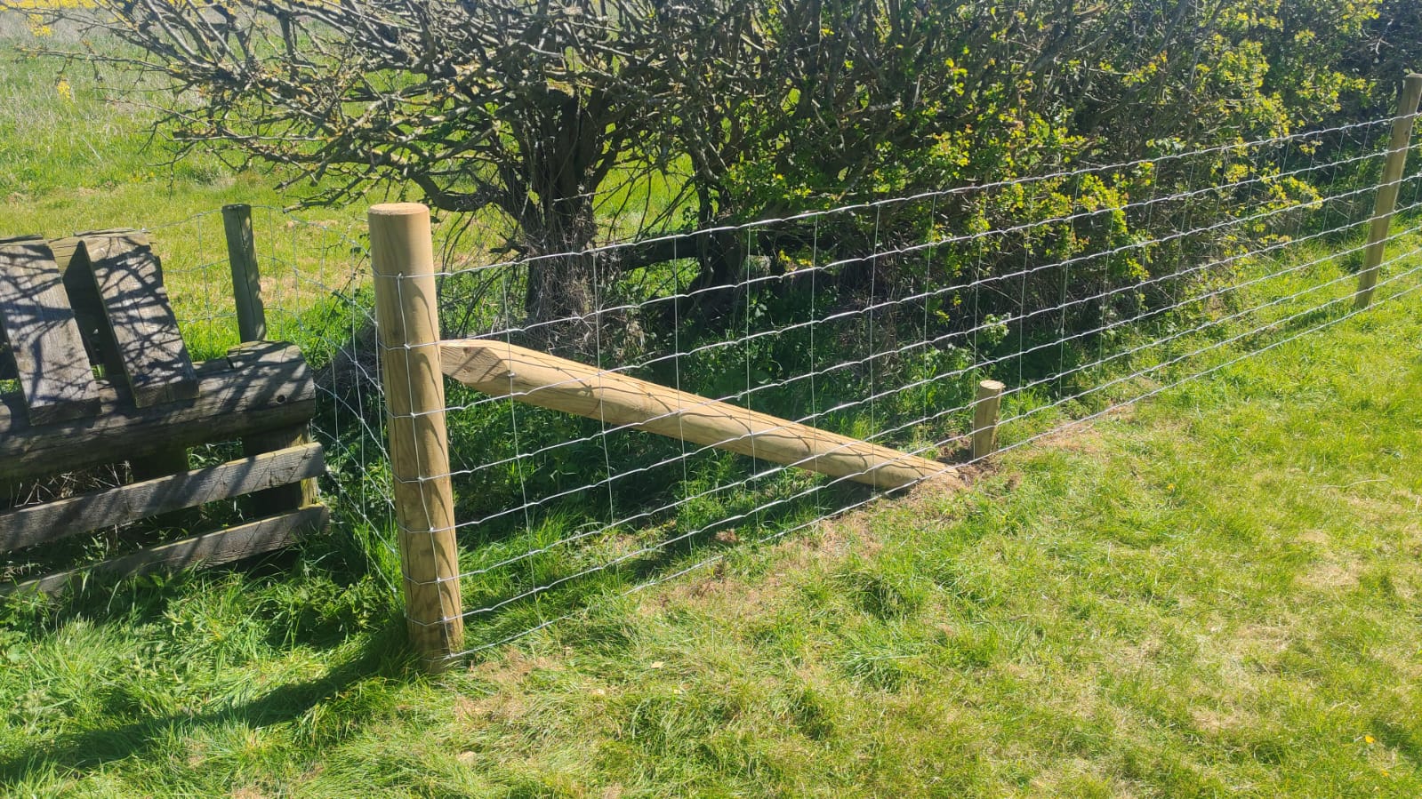 Braced timber post and wire fencing for a Capital Grant FG1 project in Louth