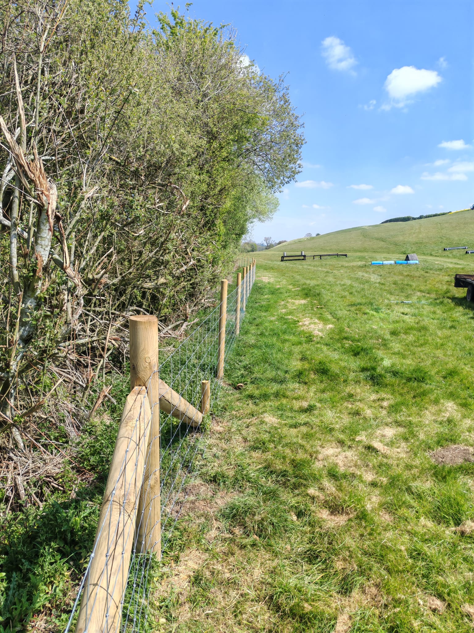 Capital Grant FG1 hedgerow fencing with timber posts in Louth
