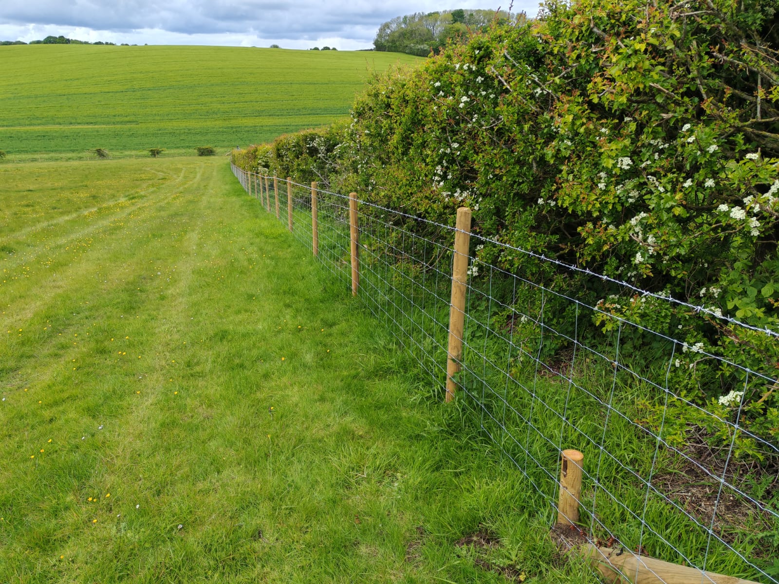 Long run of Capital Grant FG1 fencing across open grassland in Louth
