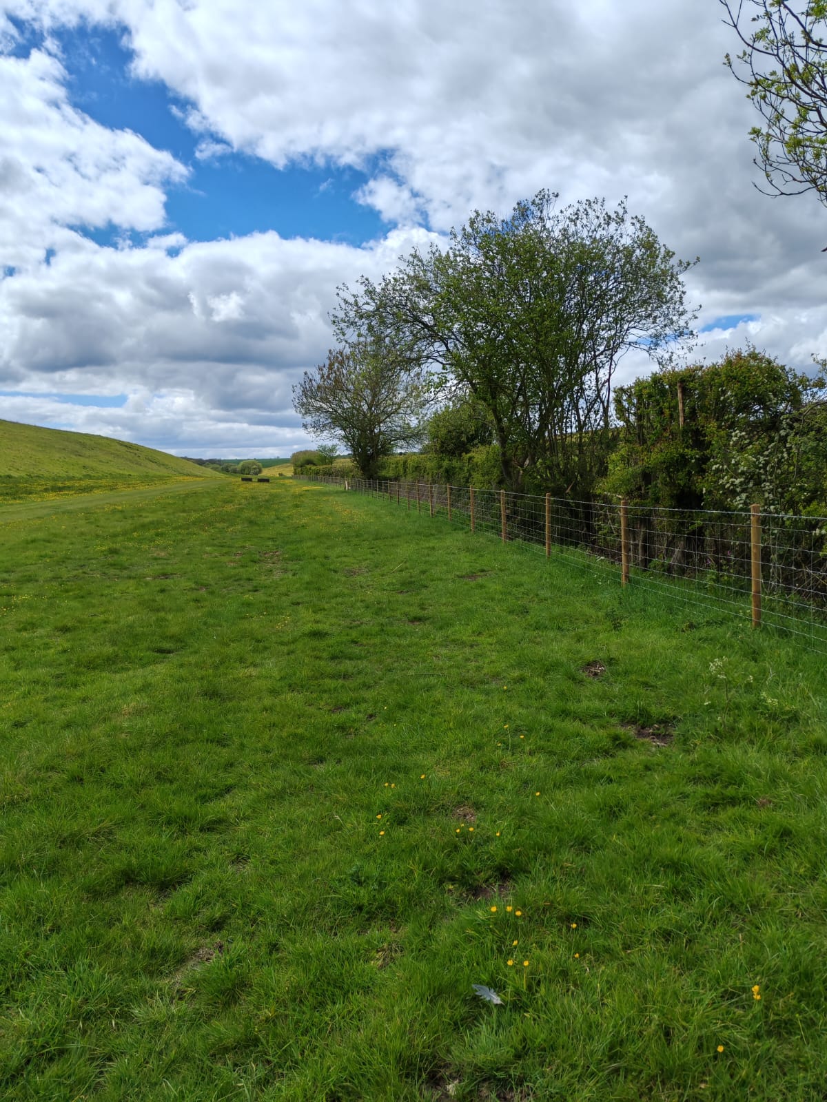 Open field boundary fencing completed under the Capital Grant FG1 scheme in Louth