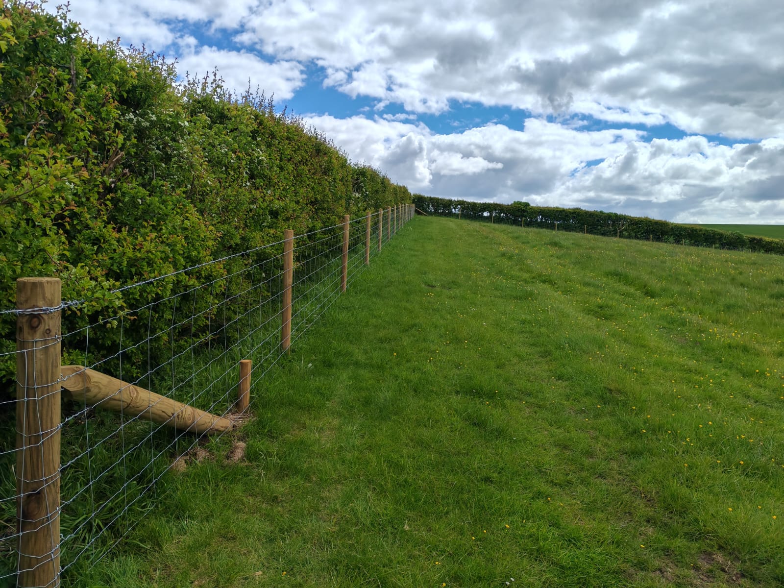 FG1 fencing installation in Lincolnshire