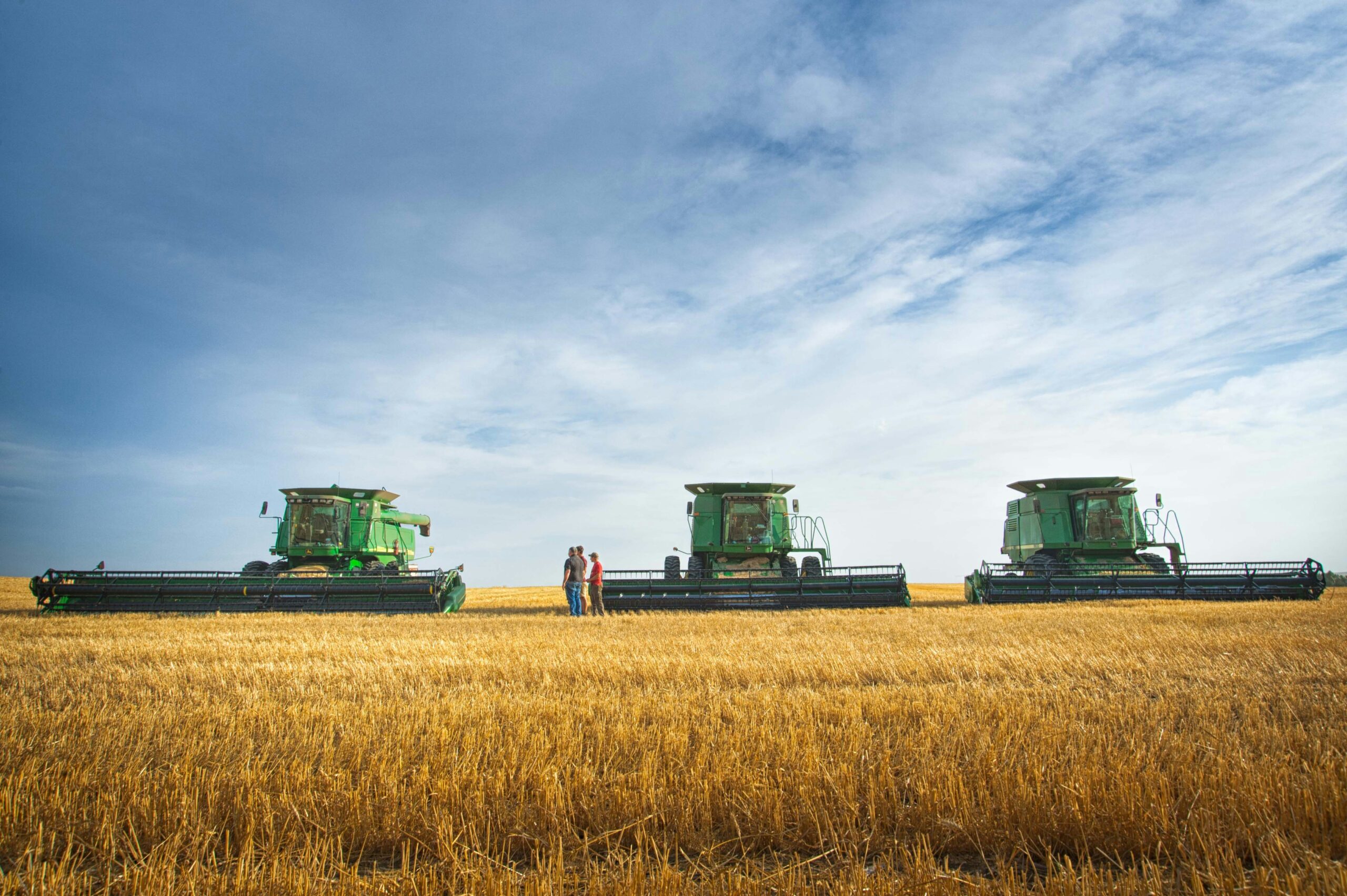 Agricultural Labour