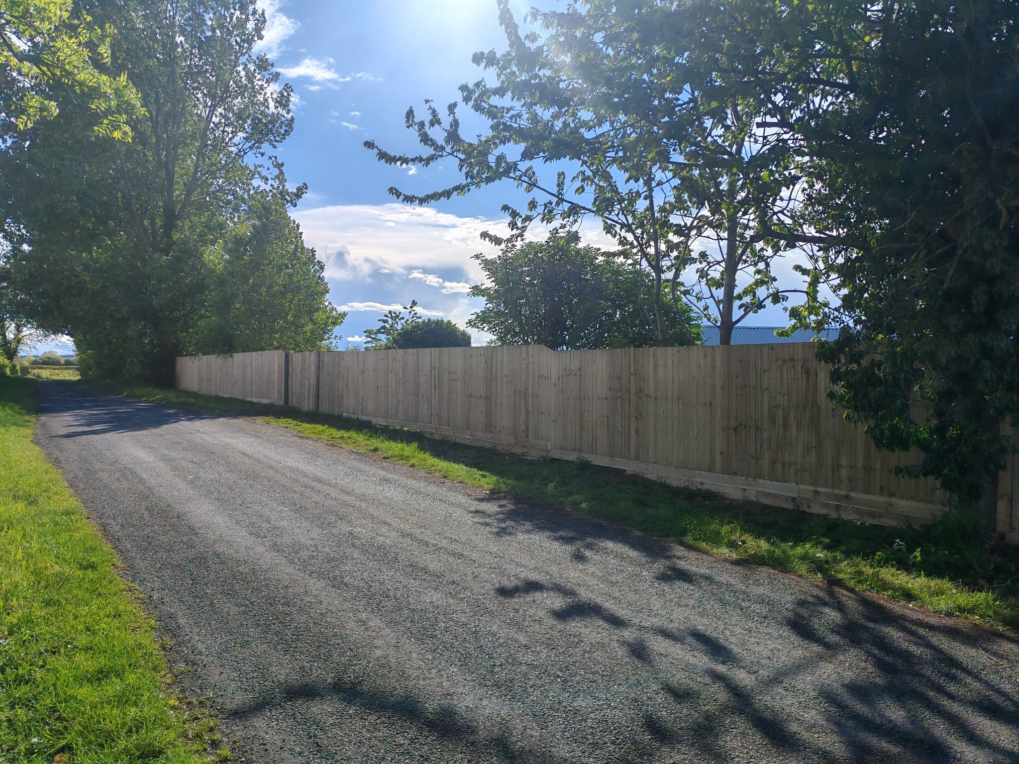 Feather edge fencing in Skegness along a roadside boundary