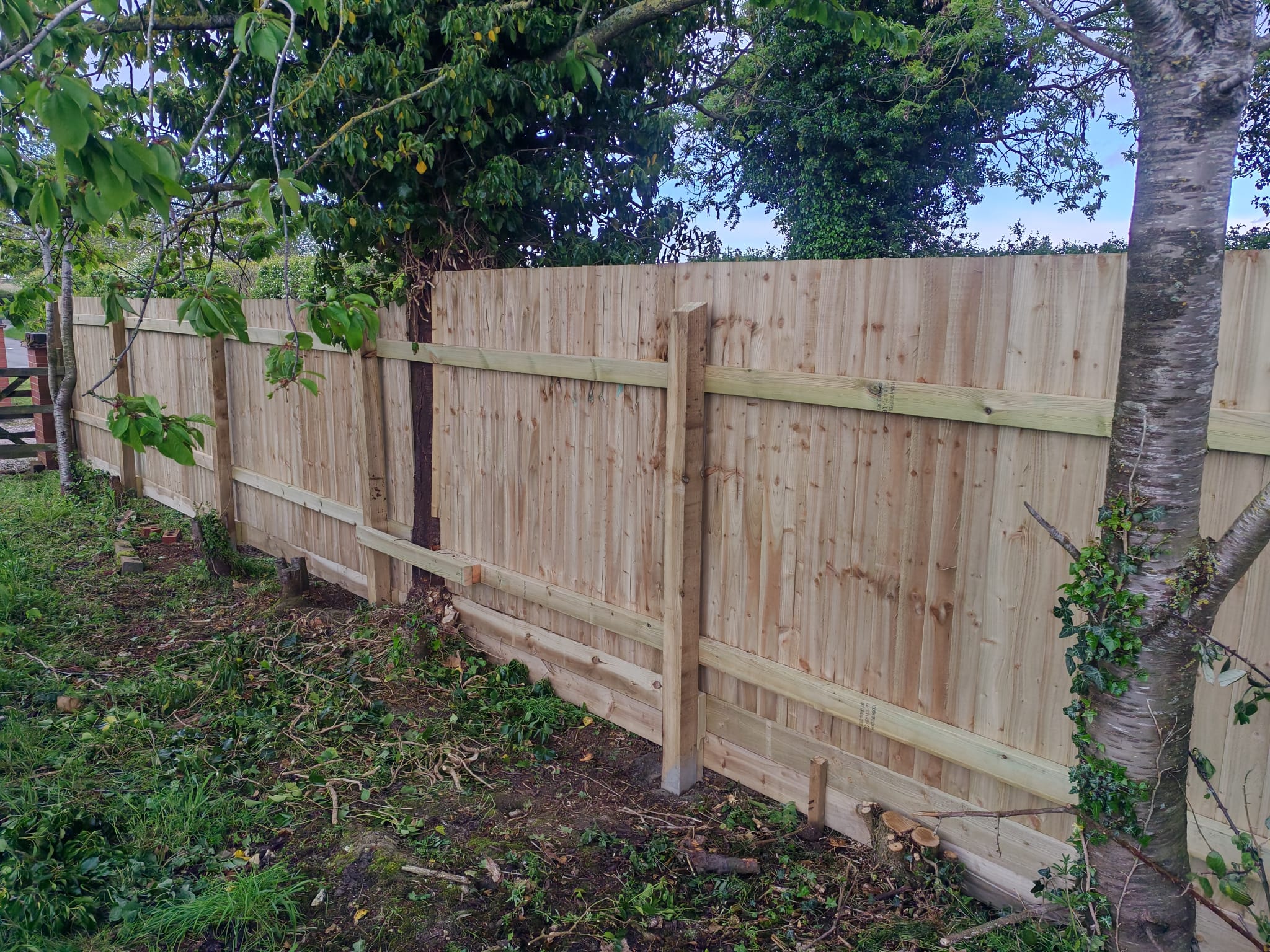 Timber feather edge fencing panels installed in Skegness