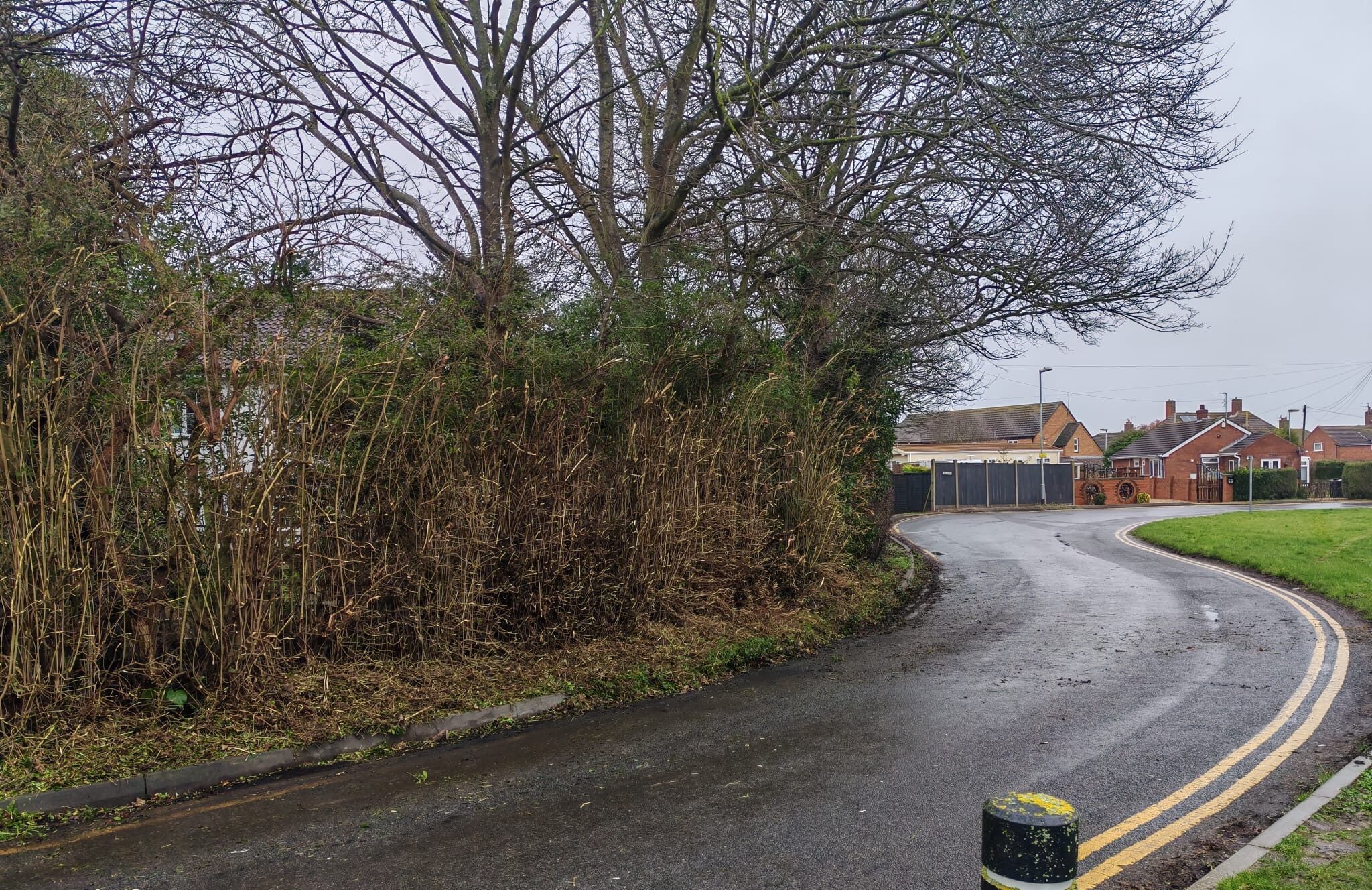 Hedge Cutting Lincolnshire