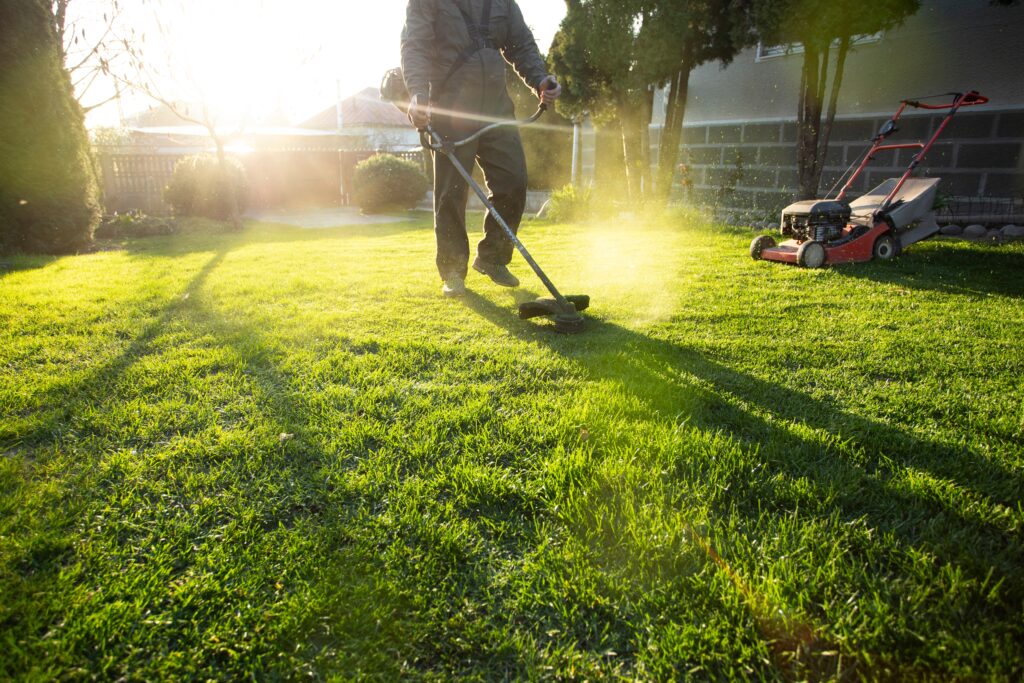 Landscaping
