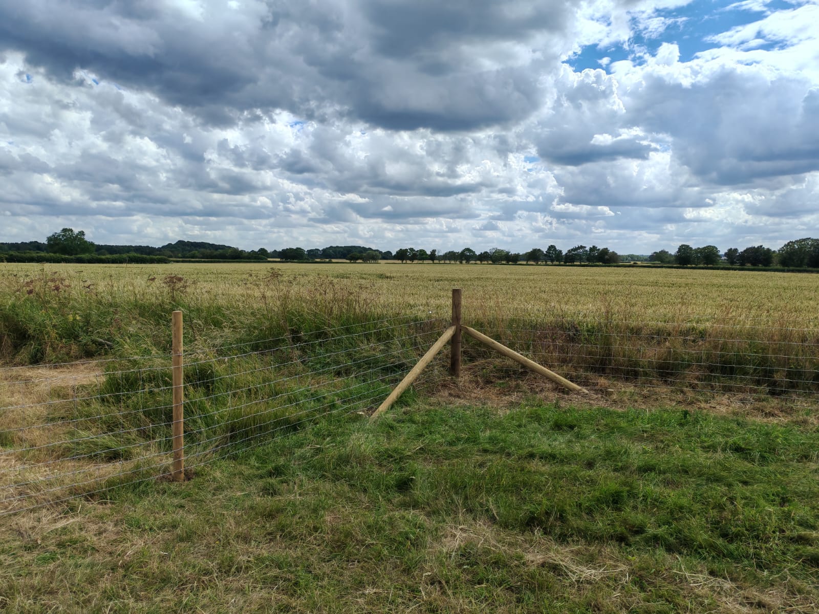 Braced corner post and stock netting for a field boundary in Louth