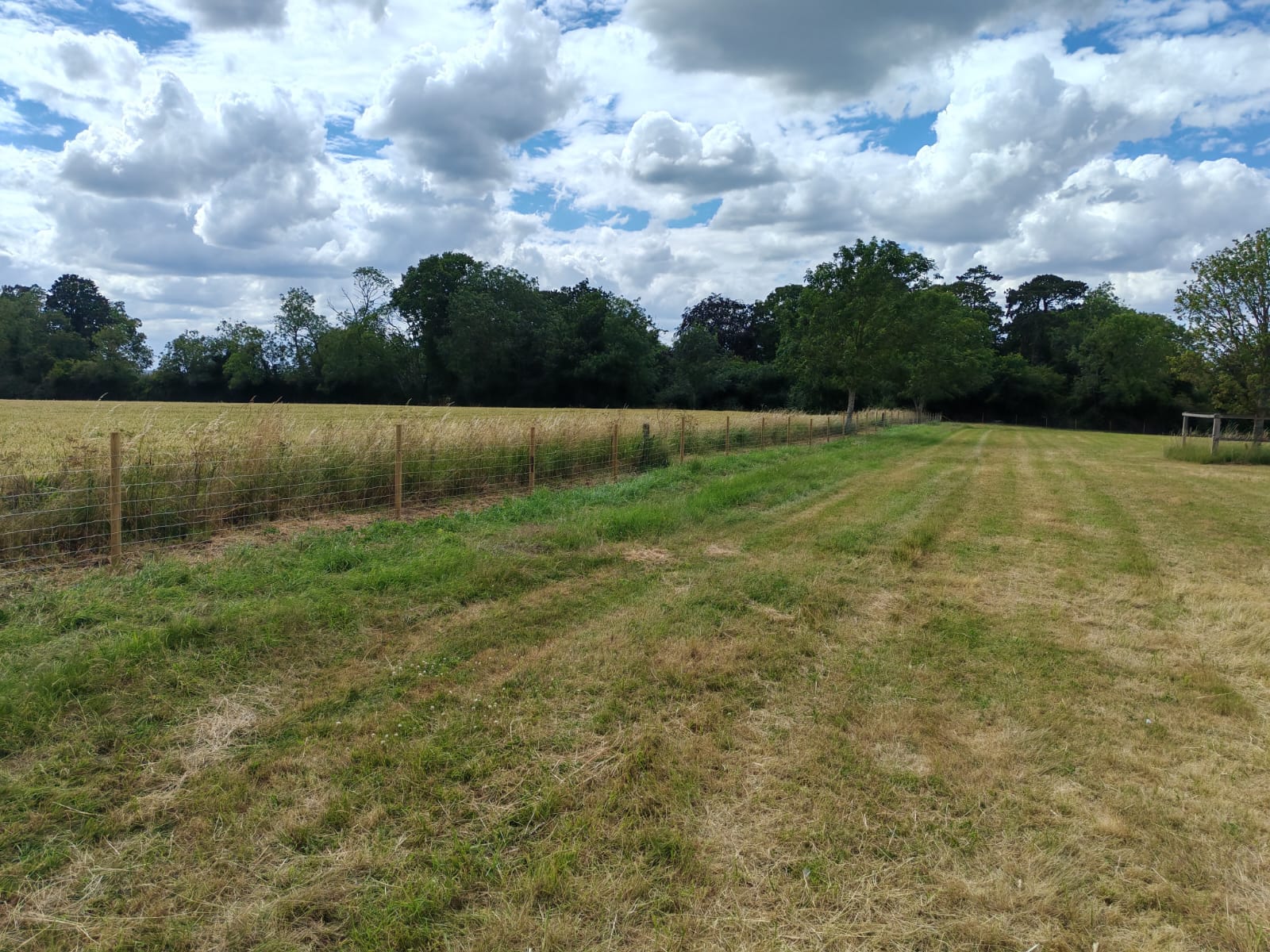 Stock fencing installation across a rural field boundary in Louth