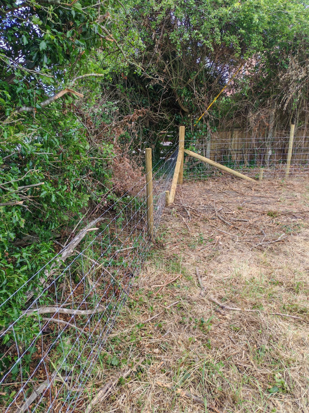 Stock fencing installed along an overgrown hedgerow boundary in Louth