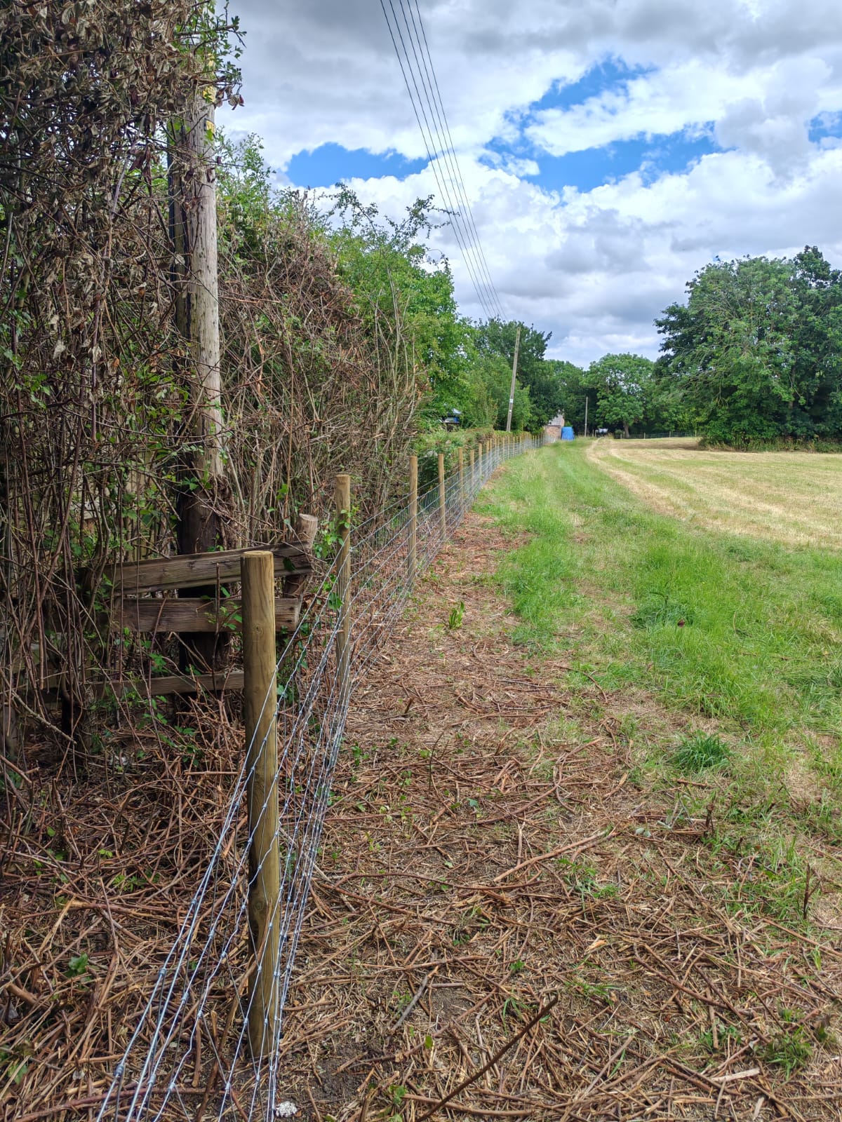 Stock fencing and timber posts installed beside a hedgerow in Louth