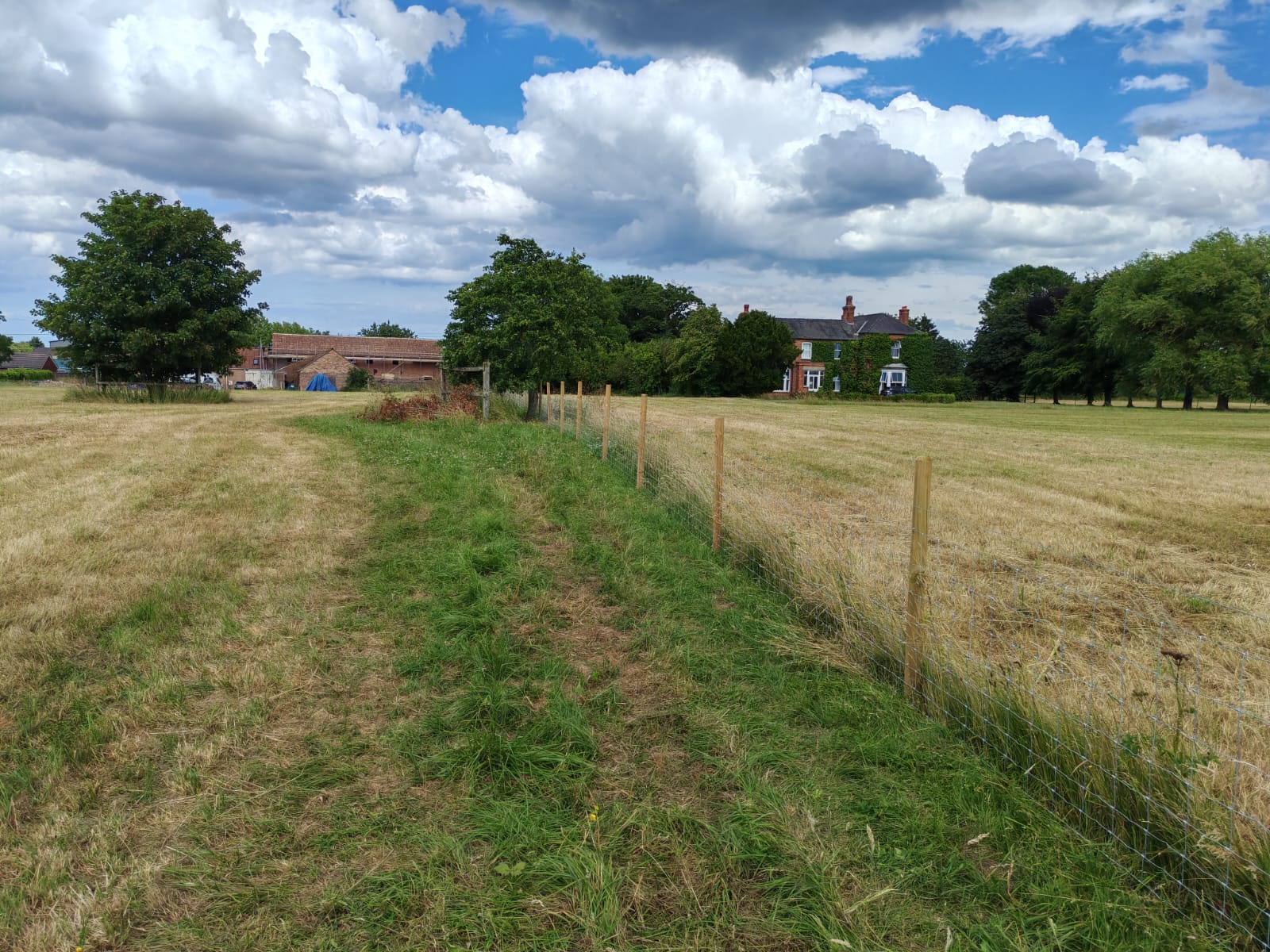 Rural stock fencing beside grassland and a property in Louth