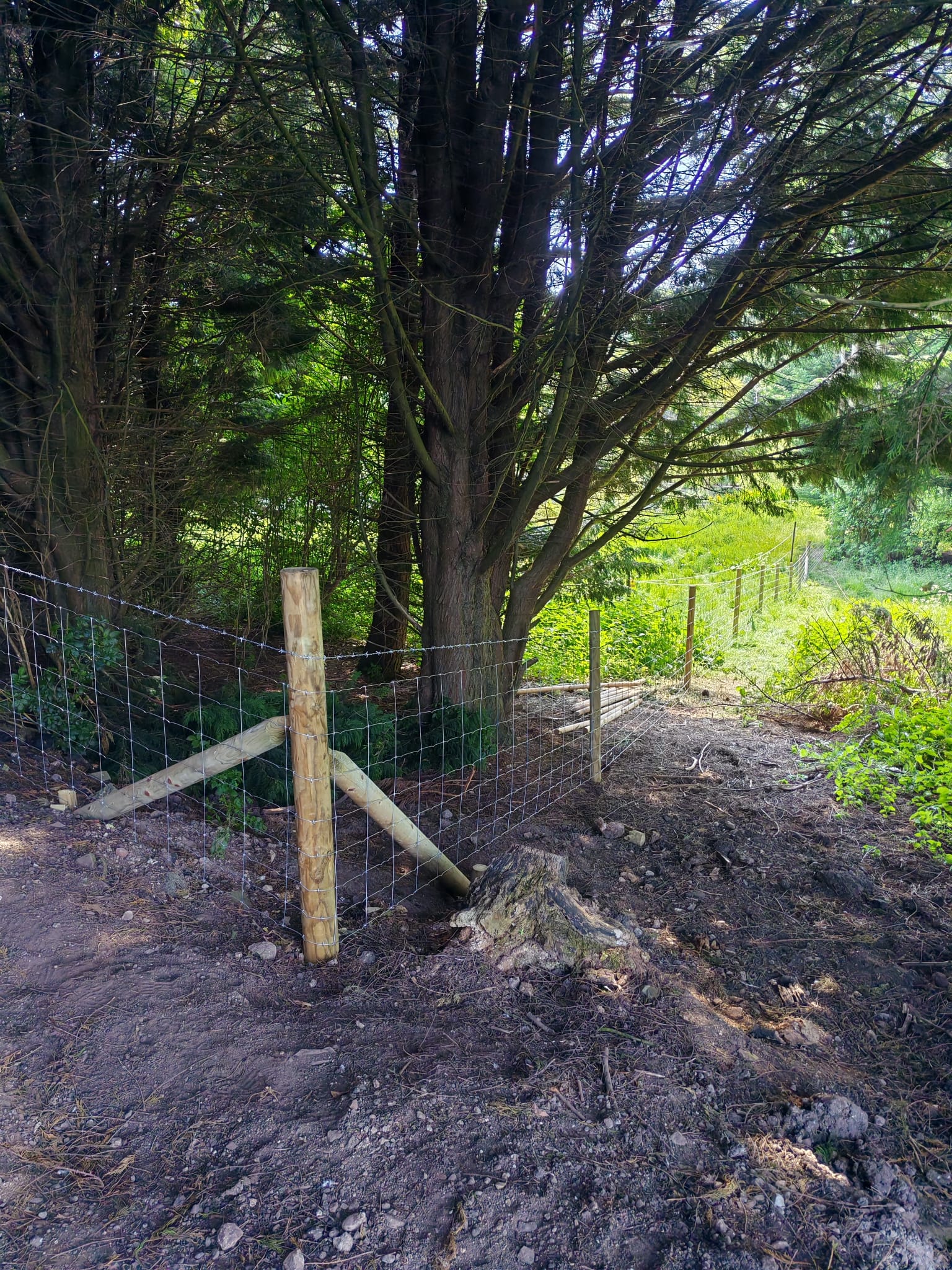 Timber stock fencing posts and wire fencing in Louth