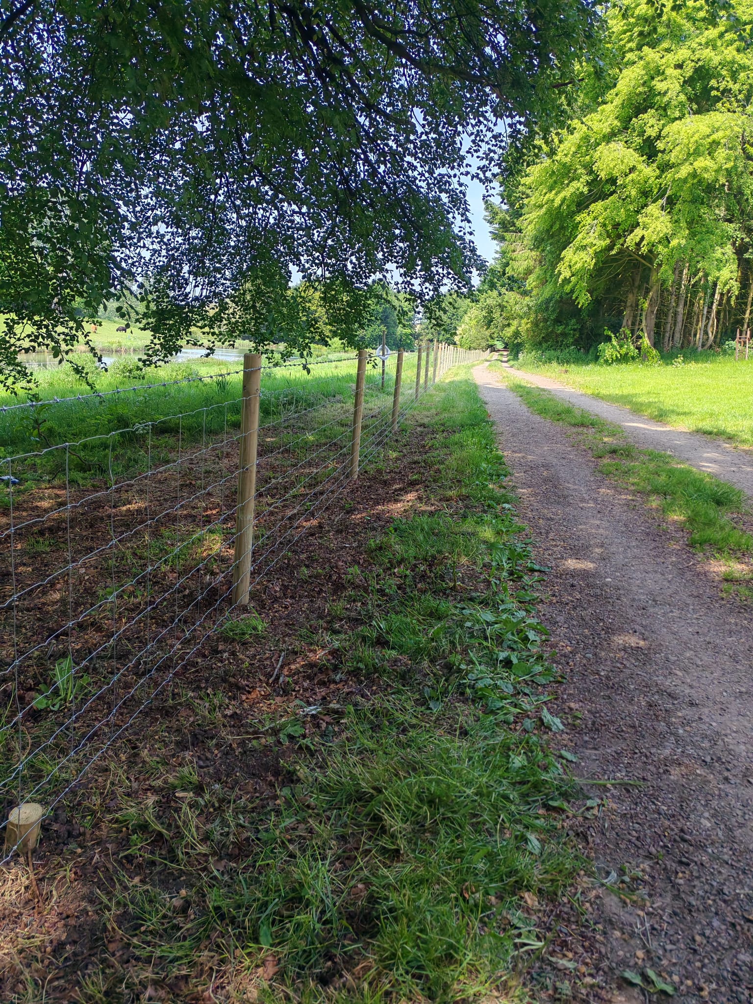 Stock fencing beside a rural track in Louth