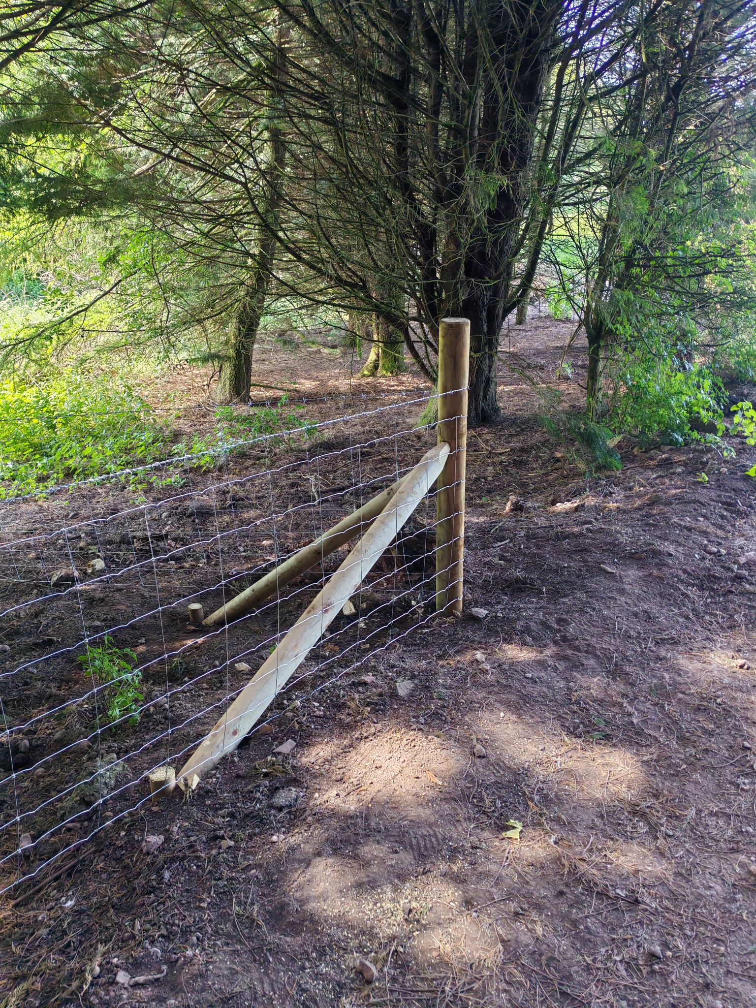 Stock fencing in Louth installed along a woodland boundary